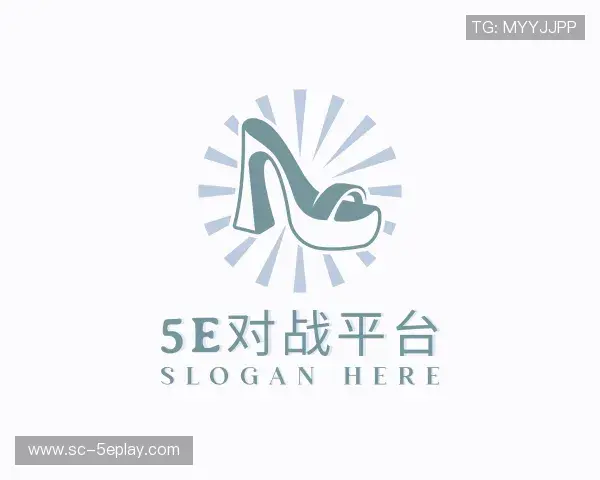 关于5e对战平台
